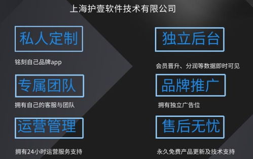 上海百人技术团队,9年开发经验,护壹代还软件